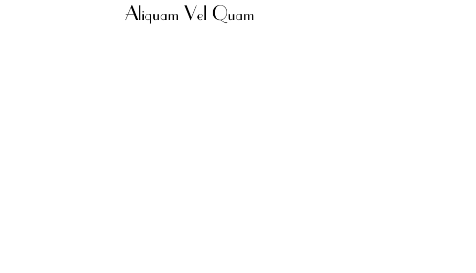 Aliquam Vel Quam